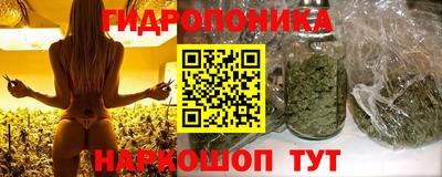 кокаин Берёзовский
