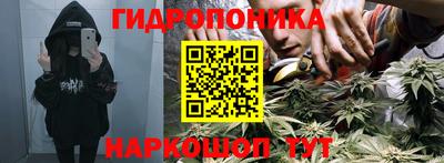 кокаин Берёзовский